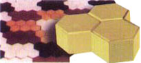 Paver Brick Pic1